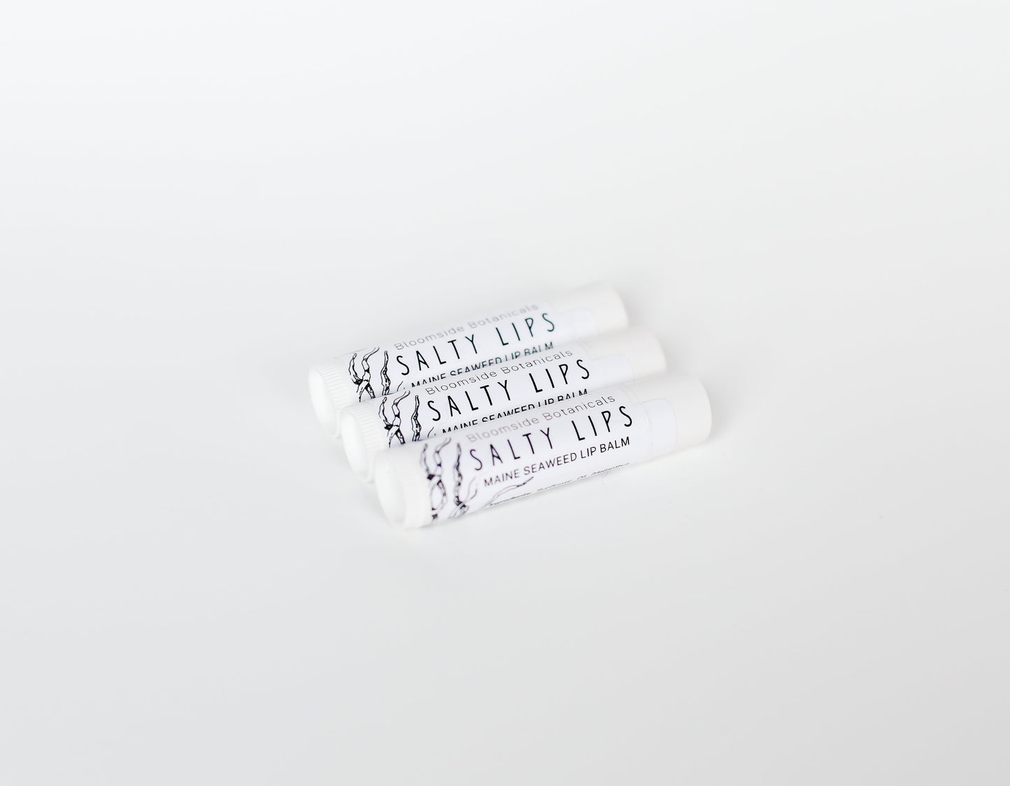 Salty Lips Lip Balm - Maine seaweed lip balm - seaweed chapstick - herbal lip balm - natural lip balm - Bloomside Botanicals