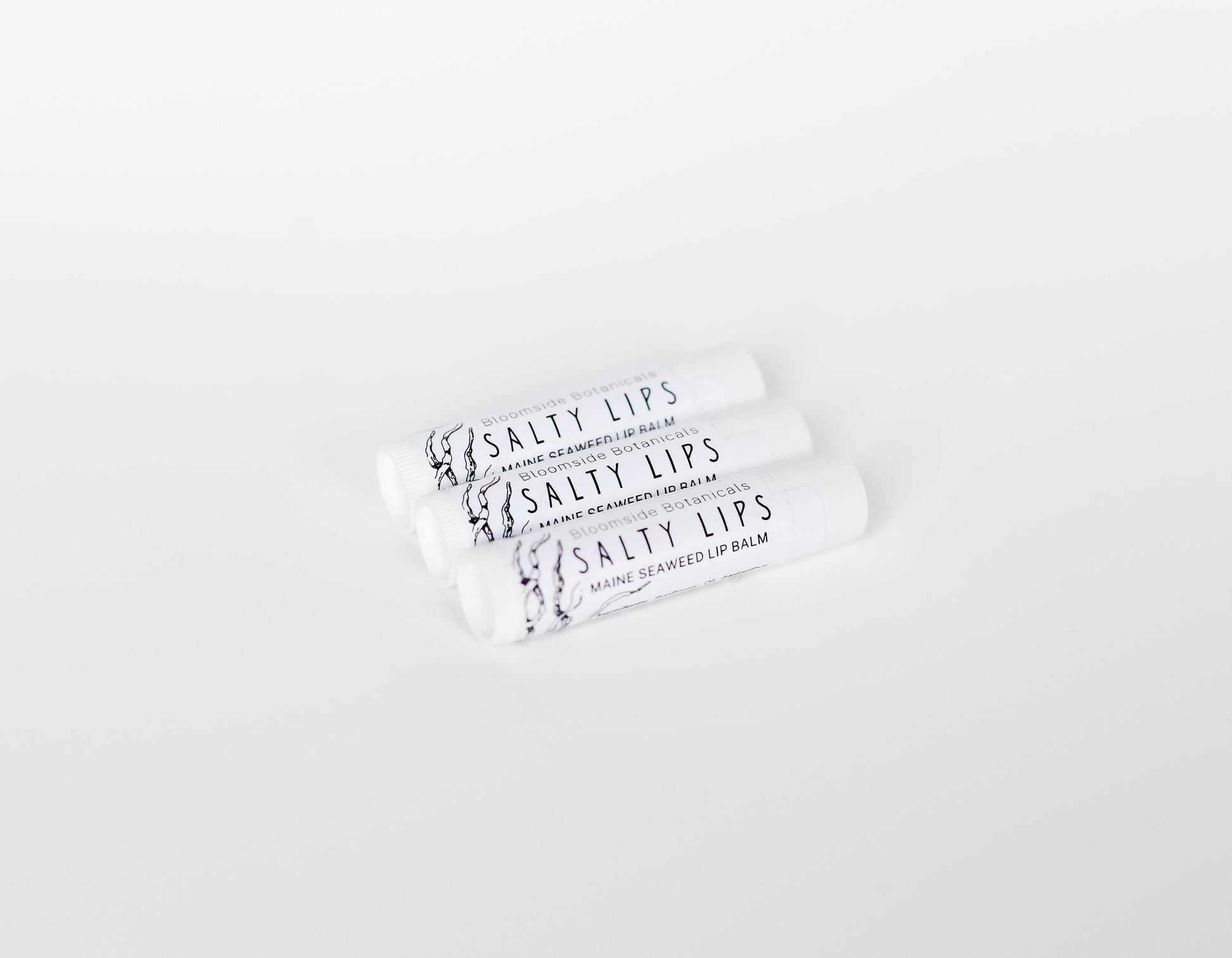 Salty Lips Lip Balm - Maine seaweed lip balm - seaweed chapstick - herbal lip balm - natural lip balm - Bloomside Botanicals