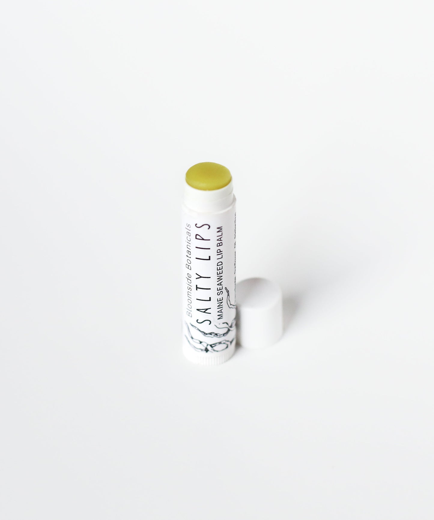 Salty Lips Lip Balm - Maine seaweed lip balm - seaweed chapstick - herbal lip balm - natural lip balm - Bloomside Botanicals
