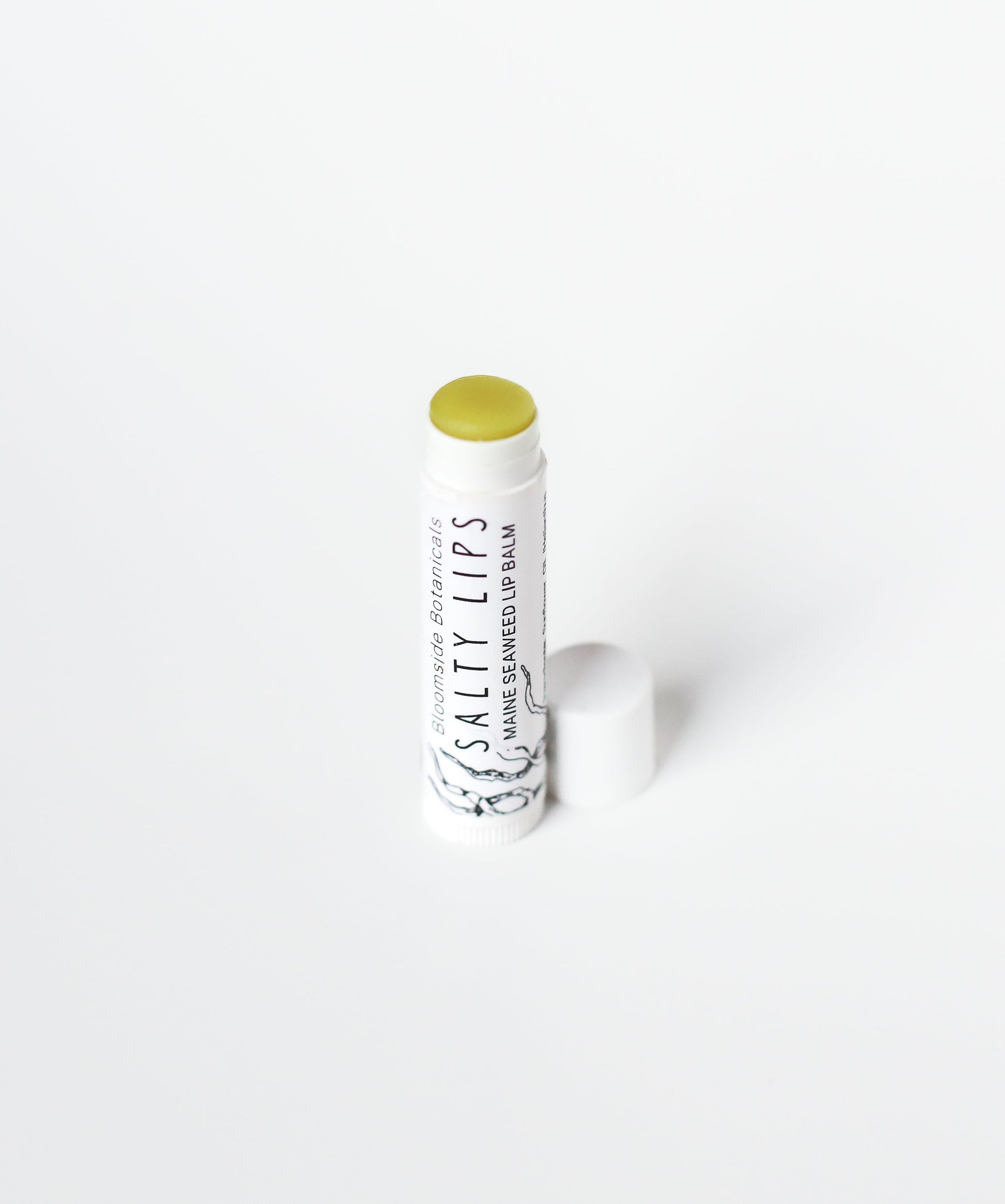 Salty Lips Lip Balm - Maine seaweed lip balm - seaweed chapstick - herbal lip balm - natural lip balm - Bloomside Botanicals